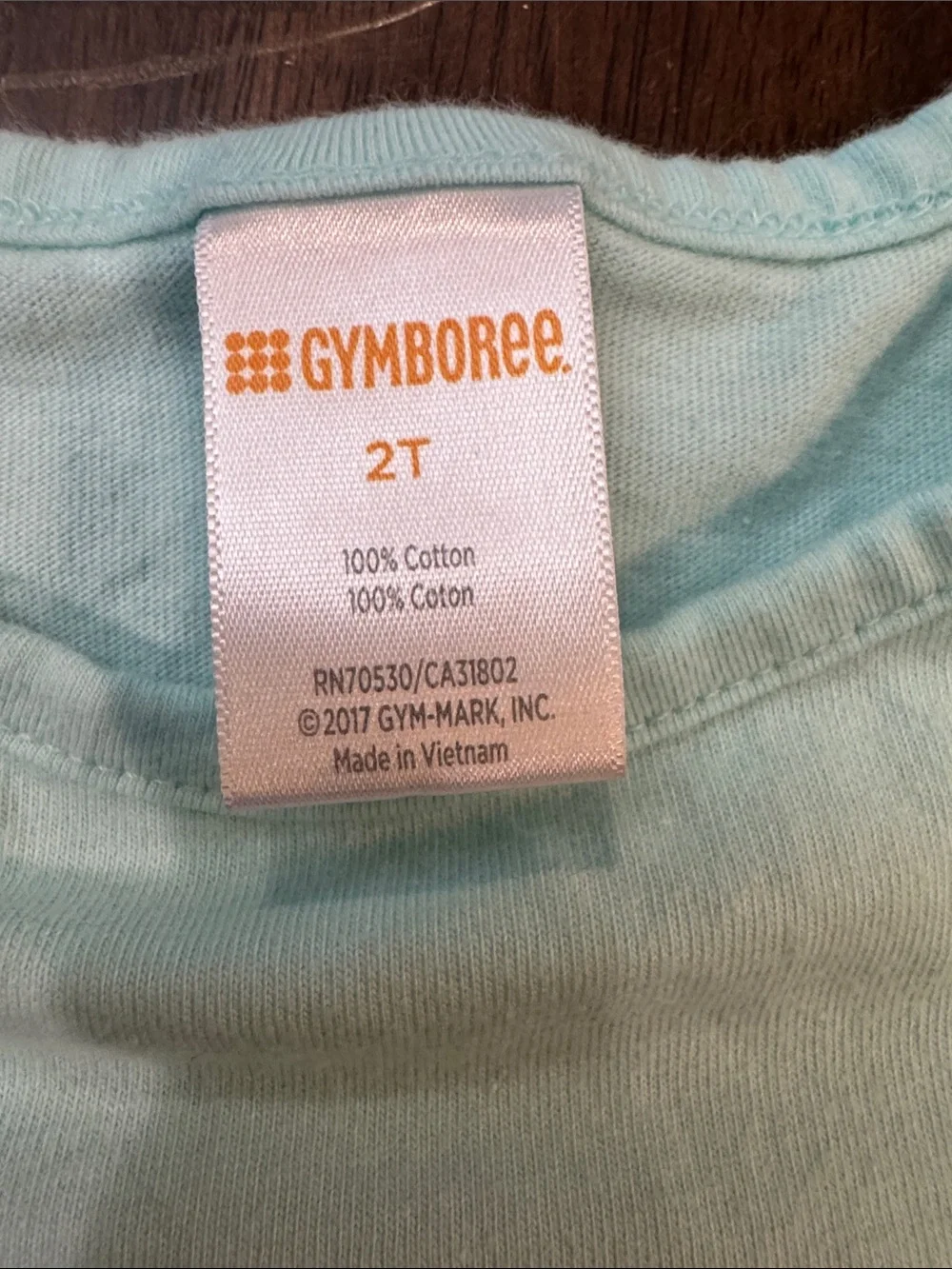 Gymboree light teal